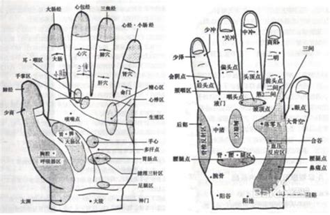 中指代表器官|五个手指分别对应身体的哪些部位？